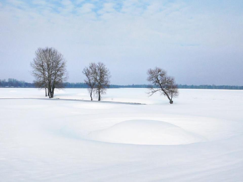 Bed and Breakfast Kod Ribica Jasenovac Экстерьер фото